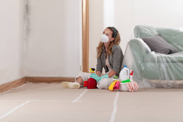 Trusted Attic Mold Removal service in Magnolia, TX - WQB Mold Removal